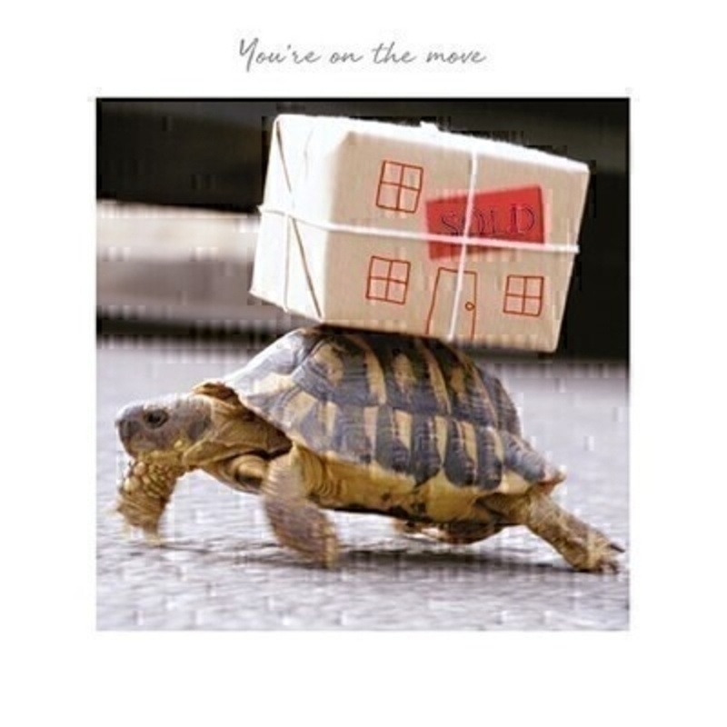 This New Home greetings card called Moving Tortoise features a tortoise walking with a house shapped boxed on his back with Youre On The Move written on the front.  This card is perfect to send to someone celebrating moving house and has been left blank inside so you can write your own message. It comes complete with a red envelope and is a lovely card from the Art Group.